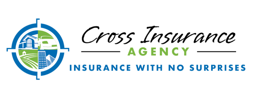 Cross Insurance Agency - Insurance with no surprises. Company logo. Compass with four points plus images inside the compass for a home, auto, farm and large buildings.